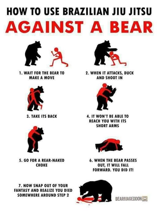 Lmao – look for the bare necessities  #Animals #Furbaby #Furbabies #Pets #Petstagram #XZEmpire #XZAnimals  #KungFu #Bear #BearFighting