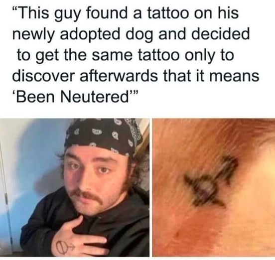 Hahahaha – right intention, wrong execution  #Animals #Dogs #dogstagram #Dogsofinstagram #catsfacebook #Furbaby #Furbabies #Pets #Petstagram#XZEmpire #XZAnimals #BetterLuckNextTime