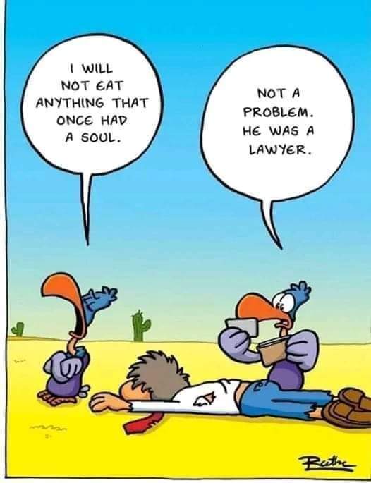 Soulless larywer!! #NoSoul #Lawyer #Buzzard #Vultures #Animals #Bird #Birds #Petstagram #XZEmpire #XZAnimals